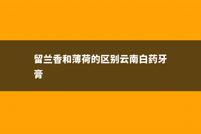 留兰香和薄荷的区别 (留兰香和薄荷的区别云南白药牙膏)