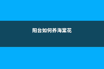 阳台如何养海棠花，需要注意什么 (阳台如何养海棠花)