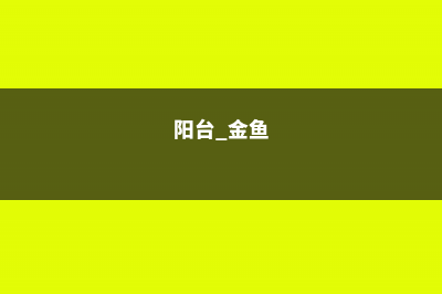 阳台如何养金鱼吊兰，需要注意什么 (阳台 金鱼)