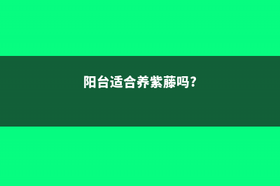 阳台如何养紫荆，需要注意什么 (阳台适合养紫藤吗?)