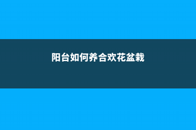 阳台如何养合欢花，需要注意什么 (阳台如何养合欢花盆栽)