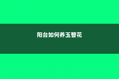 阳台如何养玉簪花，需要注意什么 (阳台如何养玉簪花)