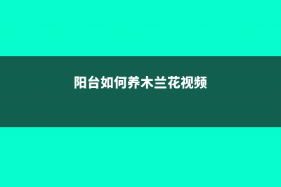 阳台如何养木兰花，需要注意什么 (阳台如何养木兰花视频)