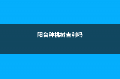 阳台如何养桃树，需要注意什么 (阳台种桃树吉利吗)