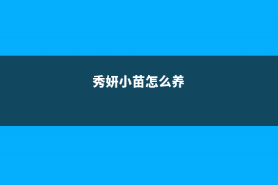 秀妍的养殖方法和注意事项 (秀妍小苗怎么养)