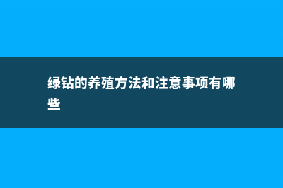 绿钻的养殖方法和注意事项 (绿钻的养殖方法和注意事项有哪些)