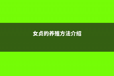 女贞的养殖方法和注意事项 (女贞的养殖方法介绍)