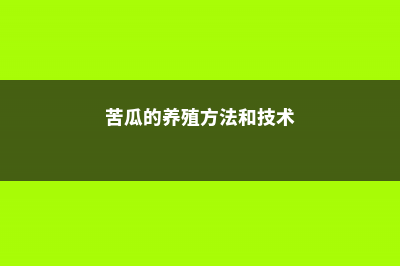 苦瓜的养殖方法和注意事项 (苦瓜的养殖方法和技术)