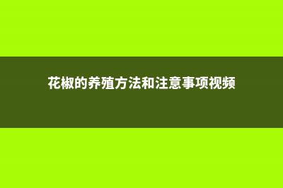 花椒的养殖方法和注意事项 (花椒的养殖方法和注意事项视频)