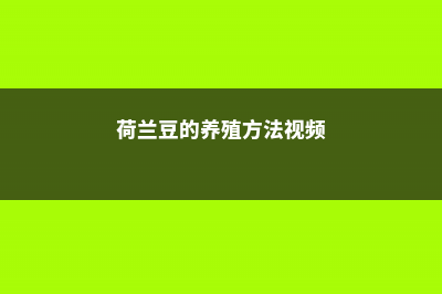 黑松的养殖方法和注意事项 (黑松的养殖方法和管理)