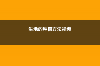 生地的养殖方法和注意事项 (生地的种植方法视频)