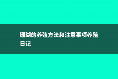 珊瑚铃的养殖方法和注意事项 (珊瑚的养殖方法和注意事项养殖日记)