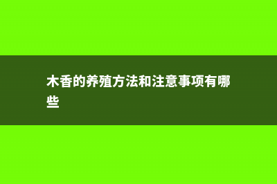 木香的养殖方法和注意事项 (木香的养殖方法和注意事项有哪些)