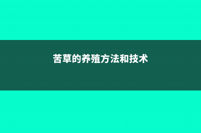 苦草的养殖方法和注意事项 (苦草的养殖方法和技术)