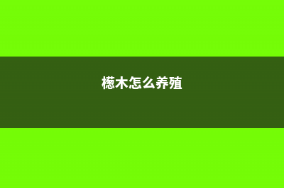 檵木的养殖方法和注意事项 (檧木怎么养殖)