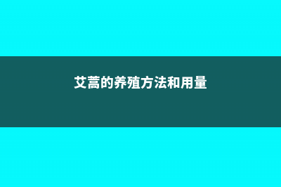 艾蒿的养殖方法和注意事项 (艾蒿的养殖方法和用量)