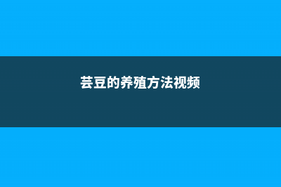 芸豆的养殖方法和注意事项 (芸豆的养殖方法视频)