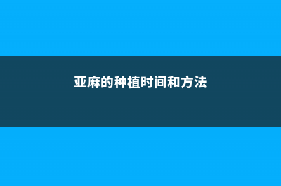 亚麻的养殖方法和注意事项 (亚麻的种植时间和方法)