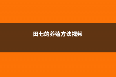 田七的养殖方法和注意事项 (田七的养殖方法视频)