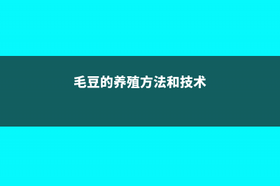 毛豆的养殖方法和注意事项 (毛豆的养殖方法和技术)