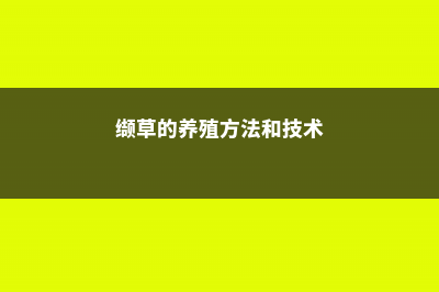 缬草的养殖方法和注意事项 (缬草的养殖方法和技术)