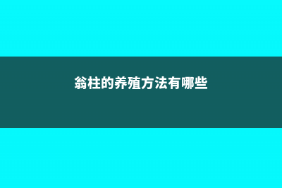 翁柱的养殖方法和注意事项 (翁柱的养殖方法有哪些)