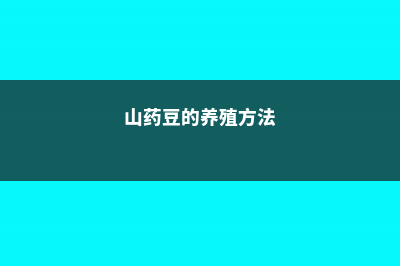 山药豆的养殖方法和注意事项 (山药豆的养殖方法)