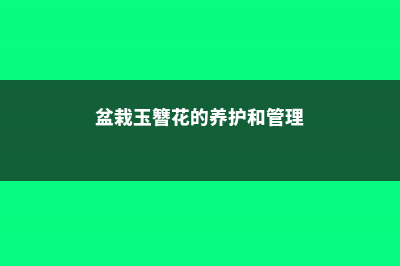 盆栽玉簪花的养殖方法和注意事项 (盆栽玉簪花的养护和管理)