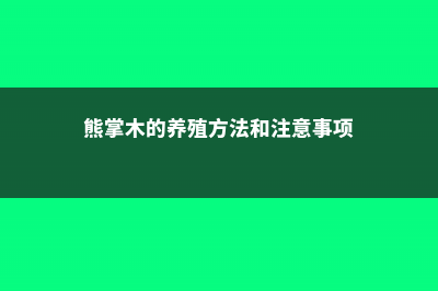 熊掌木的养殖方法和注意事项 (熊掌木的养殖方法和注意事项)