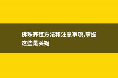 佛珠的养殖方法和注意事项 (佛珠养殖方法和注意事项,掌握这些是关键)