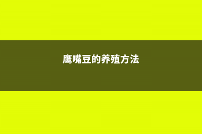 鹰嘴豆的养殖方法和注意事项 (鹰嘴豆的养殖方法)