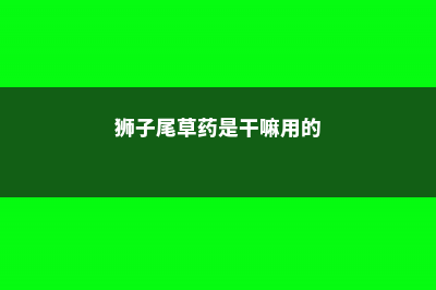 树木扼杀者的养殖方法和注意事项 (树木扼杀者的详细资料)