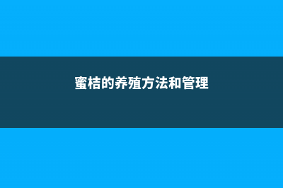 蜜桔的养殖方法和种植技巧 (蜜桔的养殖方法和管理)