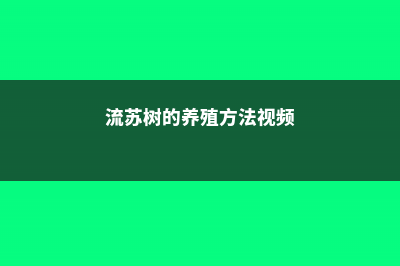 流苏树的养殖方法和注意事项 (流苏树的养殖方法视频)