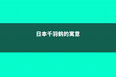 千羽鹤的养殖方法和注意事项 (日本千羽鹤的寓意)