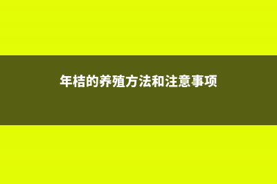 年桔的养殖方法和注意事项 (年桔的养殖方法和注意事项)