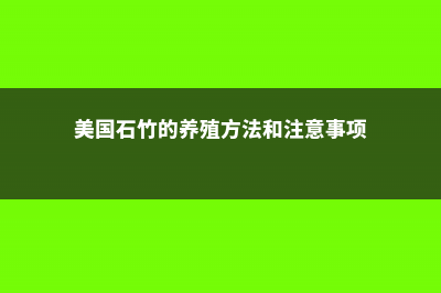 美国石竹的养殖方法和注意事项 (美国石竹的养殖方法和注意事项)