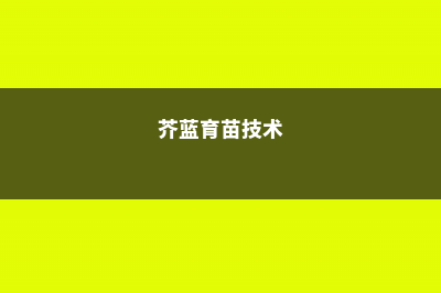 芥蓝的养殖方法和注意事项 (芥蓝育苗技术)