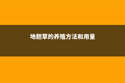 地胆草的养殖方法和注意事项 (地胆草的养殖方法和用量)