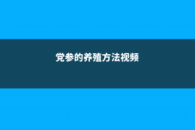 党参的养殖方法和注意事项 (党参的养殖方法视频)