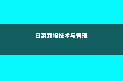 白菜的养殖方法和注意事项 (白菜栽培技术与管理)