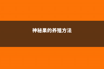 神秘果的养殖方法和注意事项 (神秘果的养殖方法)