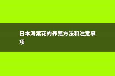 日本海棠的养殖方法和注意事项 (日本海棠花的养殖方法和注意事项)