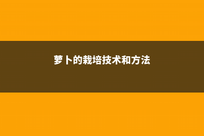 萝卜的养殖方法和注意事项 (萝卜的栽培技术和方法)