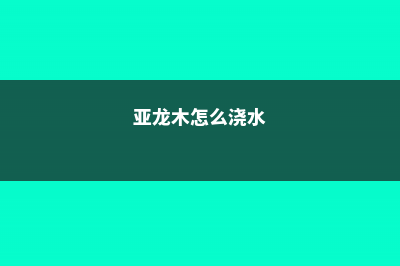 亚龙木的养殖方法和注意事项 (亚龙木怎么浇水)