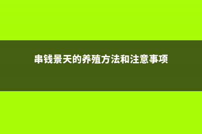 串钱景天的养殖方法和注意事项 (串钱景天的养殖方法和注意事项)