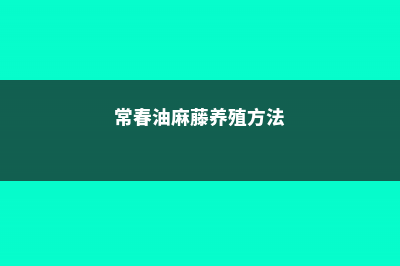 常春油麻藤的养殖方法和注意事项 (常春油麻藤养殖方法)