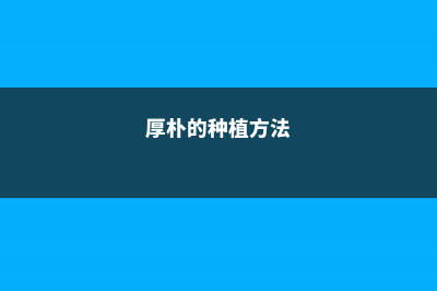 厚朴的养殖方法和注意事项 (厚朴的种植方法)