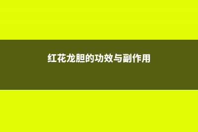 红花龙胆的养殖方法和注意事项 (红花龙胆的功效与副作用)