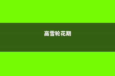 鹤顶兰的养殖方法和注意事项 (鹤顶兰的养殖方法和管理)